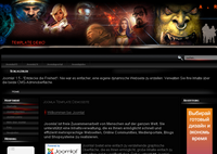 IBSI-US.COM Affordable Custom Web site design Tampa Florida